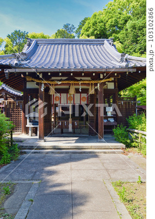 新熊野神社(京都市東山区) 新熊野神社(京都市東山区) 103102866