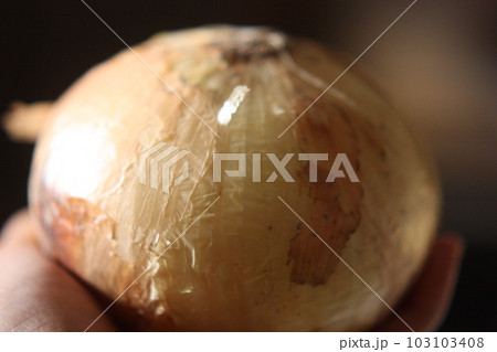 机の上の野菜 103103408