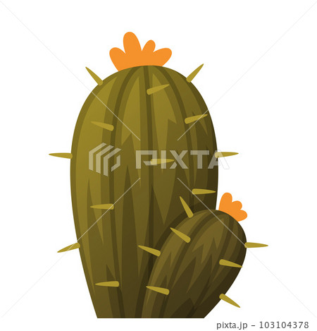 Cacti or Cactus Plant as Succulent Flora Vector Illustration 103104378