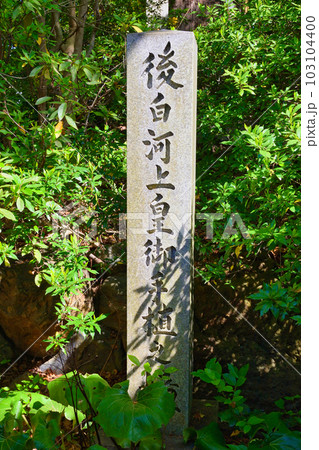 新熊野神社 影向の大樟 (京都市東山区) 新熊野神社 影向の大樟 (京都市東山区) 103104400