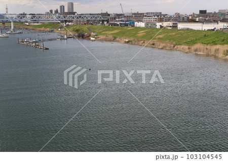 妙典橋から見る江戸川放水路 妙典橋から見る江戸川放水路 103104545