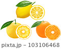 柑橘類 柑橘 果物 フルーツ 103106468