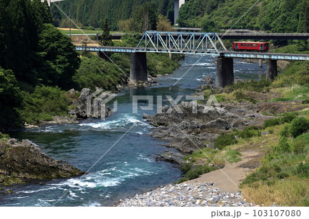 新緑の長良川と長良川鉄道 103107080