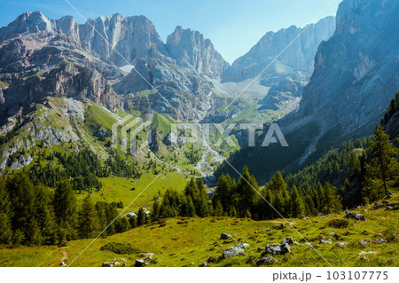 landscape with mountains and trees landscape with mountains and trees 103107775