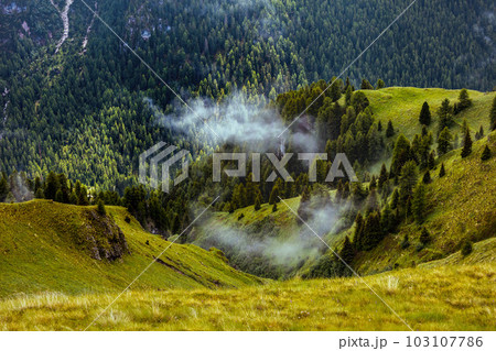 landscape with hills, forest and fog landscape with hills, forest and fog 103107786