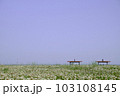 花畑の中にあるベンチ 103108145