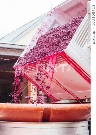 Hardys Winery in Mclaren Vale Australia 103108415