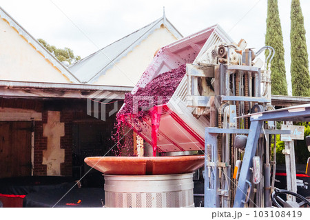 Hardys Winery in Mclaren Vale Australia 103108419