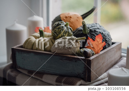 Cozy fall composition. Cozy fall composition. 103108556