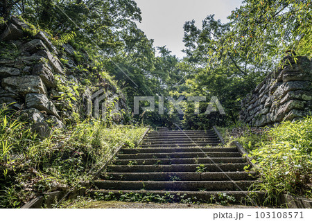 二俣城跡は静岡県浜松市天竜区二俣町二俣にある戦国時代の山城跡 103108571