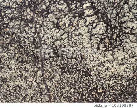 birch pollen on surface of brown asphalt road birch pollen on surface of brown asphalt road 103108597