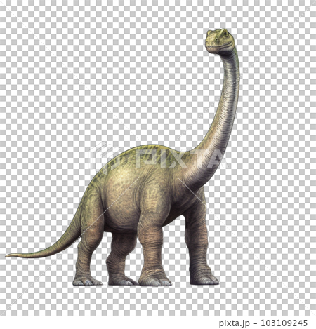 ブロントサウルス 103109245