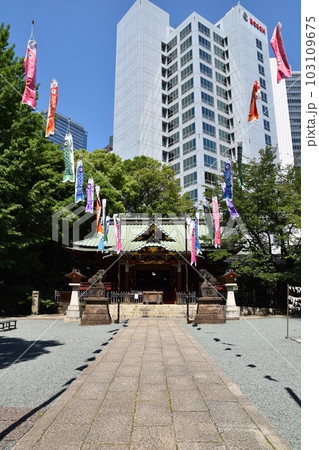 鯉のぼりの靡く渋谷金王八幡宮 東京 鯉のぼりの靡く渋谷金王八幡宮 東京 103109675