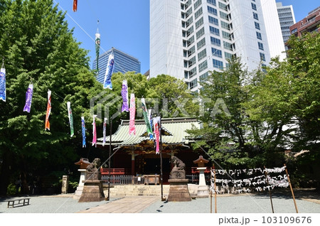 鯉のぼりの靡く渋谷金王八幡宮　東京 103109676