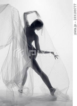 Silhouette of nude sensual tender young woman, girl with perfect slim body shape covered transparent floating fabric and posing with inspiration. Monochrome 103109777