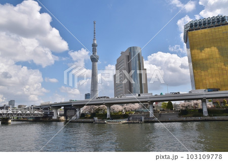 春の隅田公園からの景色　東京 103109778