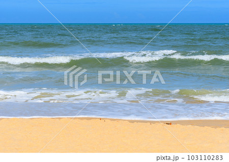 The landscape of a Brazilian northeast beach, Trancoso - Bahia 103110283