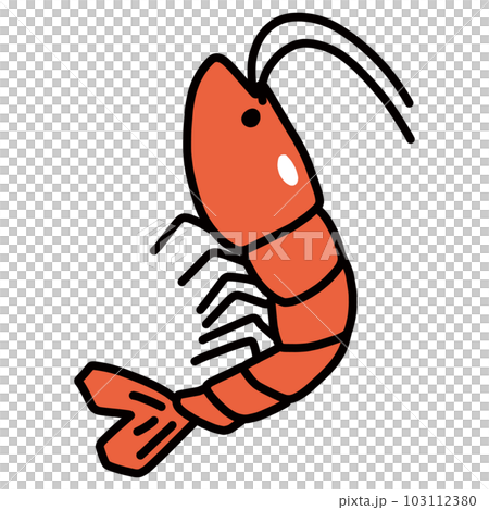 シンプルな海老の手書きカラーイラストのイラスト素材 [103112380] - PIXTA