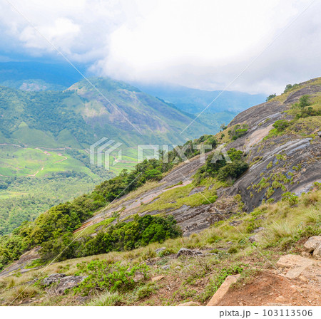 Rocky hills of Munnar, Kerala, India 103113506