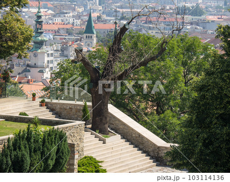 the castle of bratislava in slovakia 103114136