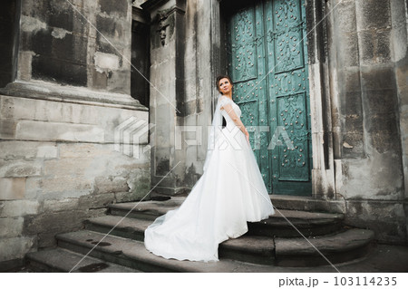 Beauty portrait of bride wearing fashion...の写真素材 [103114235