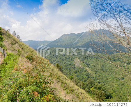 Misty mountains Misty mountains 103114275