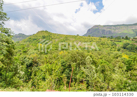Rocky hills of Munnar, Kerala, India 103114330