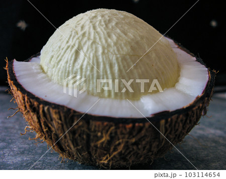Coconut sprout 103114654