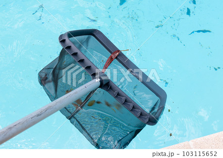 Pool Skimmer cleaning a dirty swimming pool 103115652