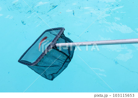 Pool Skimmer cleaning a dirty swimming pool 103115653