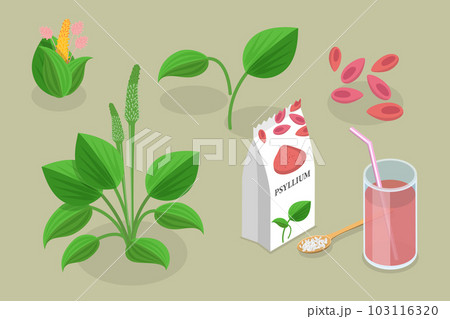 3D Isometric Flat Vector Conceptual Illustration of Psyllium Plant 103116320