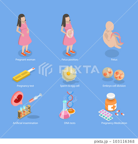 3D Isometric Flat Vector Conceptual Illustration of Pregnancy And Obstetrics 3D Isometric Flat Vector Conceptual Illustration of Pregnancy And Obstetrics 103116368
