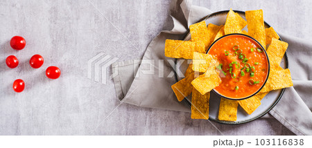 Bowl with mexican tomato salsa and corn chips on the table top view web banner Bowl with mexican tomato salsa and corn chips on the table top view web banner 103116838