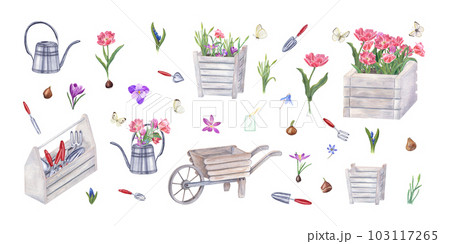 Watercolor set of garden tools, flowers, bulbs, butterflies isolated on white. Illustration of watering can, wooden pots, wheelbarrow, tool box, hand trowels, fork, crocus, tulips, blue snowdrops 103117265