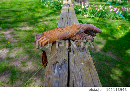 A thick glove for holding birds of prey on the hand. the zimd is standing on a log. A thick glove for holding birds of prey on the hand. the zimd is standing on a log. 103118948