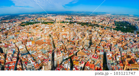 Valencia city aerial panoramic view in Spain 103121747