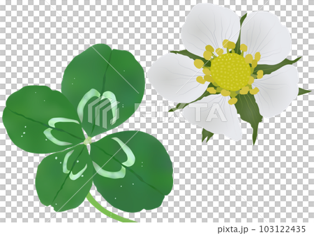 “四葉草”和“野草莓花” “四葉草”和“野草莓花” 103122435