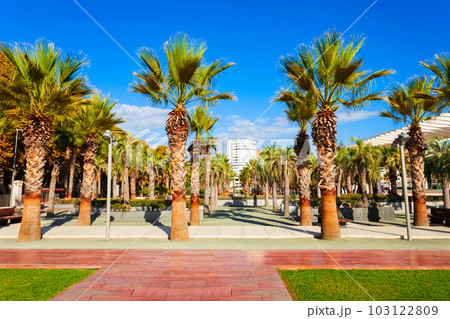 Paseo del Muelle Uno pedestrian promenade in Malaga Paseo del Muelle Uno pedestrian promenade in Malaga 103122809