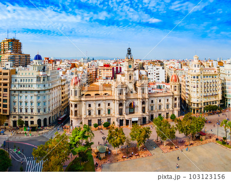 Valencia city aerial panoramic view in Spain 103123156