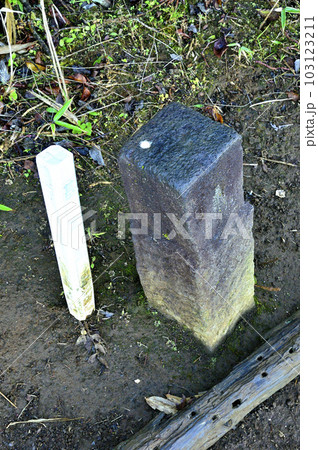 道志山塊の石割山山頂 三等三角点(中野村(七)) 道志山塊の石割山山頂 三等三角点(中野村(七)) 103123211