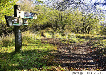 道志山塊の平尾山 石割山ハイキングコースと大平山ハイキングコースの分岐 道志山塊の平尾山 石割山ハイキングコースと大平山ハイキングコースの分岐 103123215