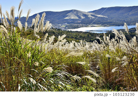 道志山塊の大平山の草原より鉄砲木ノ頭（明神山）と三国山稜と山中湖を望む 103123230