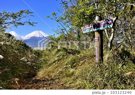 道志山塊の飯盛山山頂より望む富士山 103123240