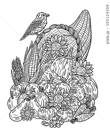 Thanksgiving Cornucopia Harvest Isolated Adults  103124309