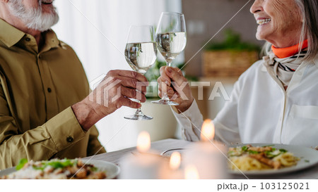 Senior man with his wife celebrating anniversary. Senior man with his wife celebrating anniversary. 103125021