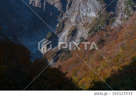 谷川岳の一ノ倉沢の紅葉 103125533