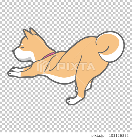 伸びをする柴犬のベクターイラスト 103126852