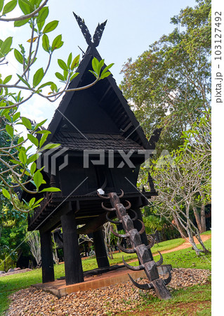 intricate details of the buildings' design and the contrast between their sharp edges and organic surroundings. 103127492