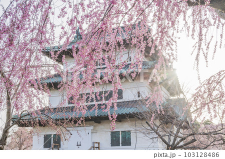 青森 弘前城 青森 弘前城 103128486