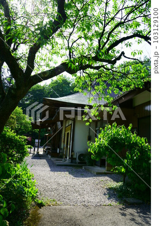 4610　秩父観音霊場6番札所　向陽山卜雲寺 103129100